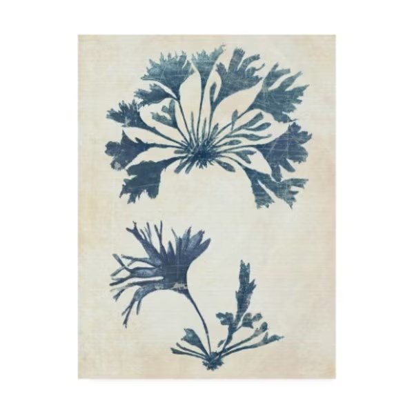 Fab Funky 'Indigo Blue Seaweed 2 D' Canvas Art, 24x32, Trademark Fine Art, Mfr#: WAG12631-C2432GG